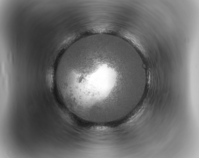 X0000096450590200801241420
