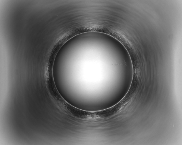 X0000096450591200801241420