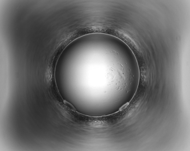 X0000096450593200801241420