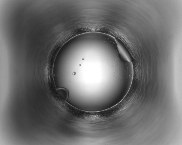 X0000096450594200801241420