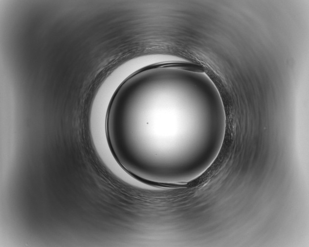 X0000096450595200801241420