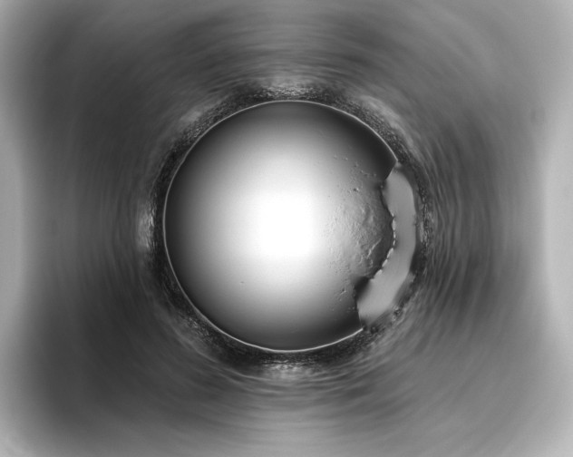 X0000096450596200801241420