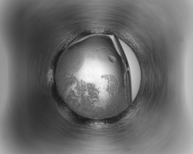 X0000096450598200801241420