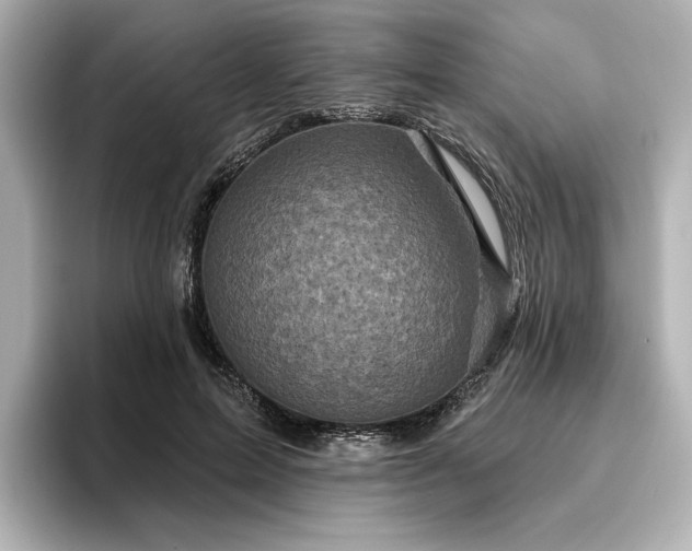 X0000096450599200801241420