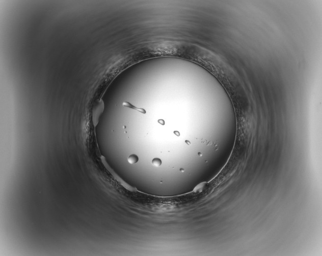 X0000096450600200801241420