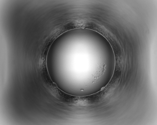 X0000096450601200801241420