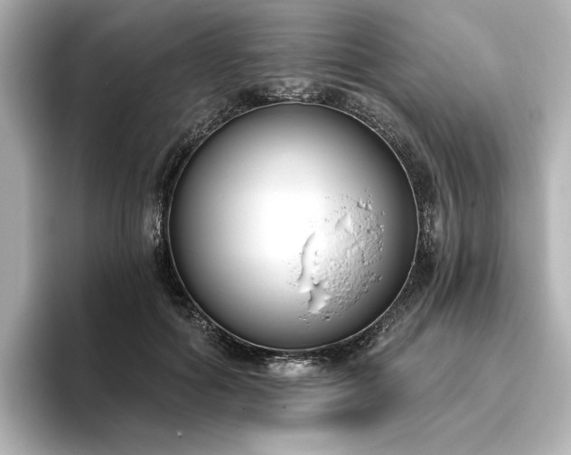 X0000096450602200801241420