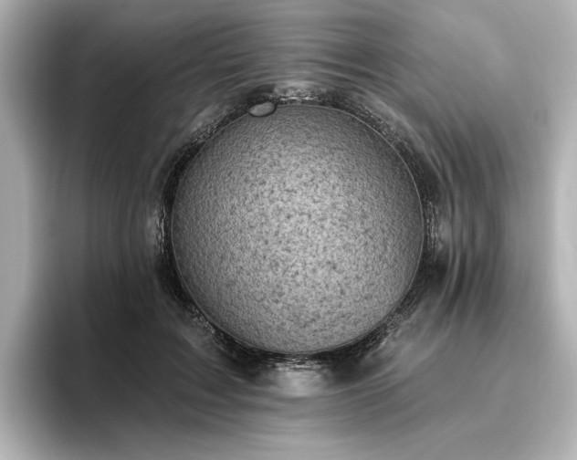 X0000096450603200801241420