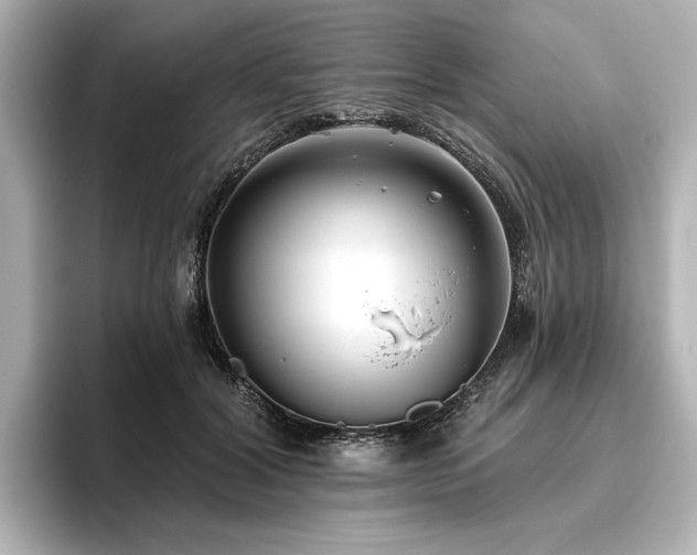 X0000096450604200801241420