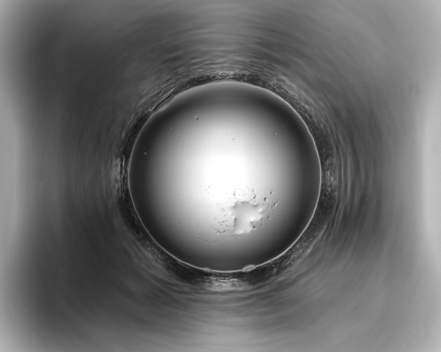X0000096450605200801241420