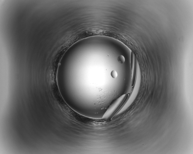 X0000096450606200801241420