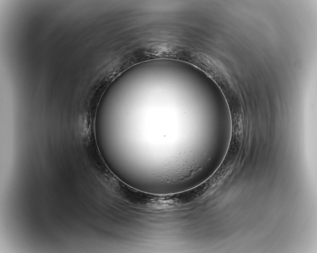 X0000096450607200801241420