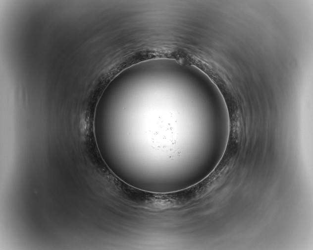 X0000096450608200801241420