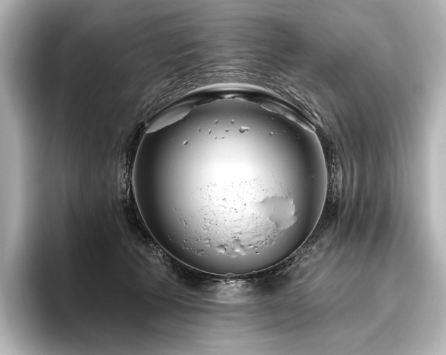 X0000096450609200801241420