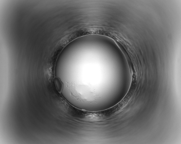 X0000096450611200801241420