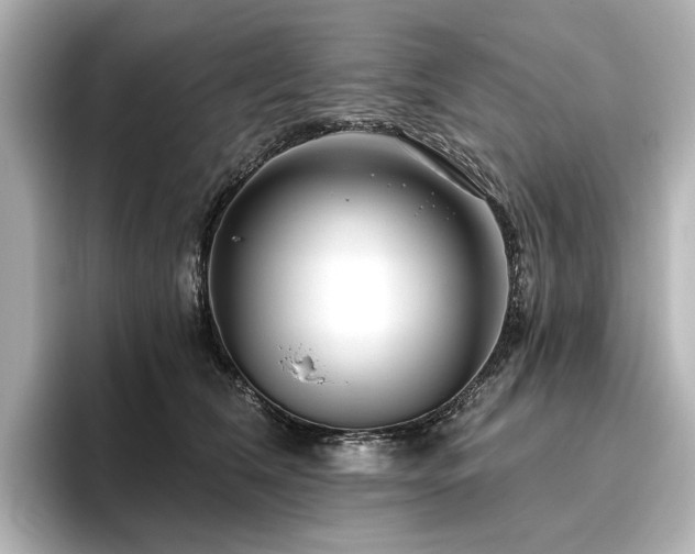 X0000096450612200801241420