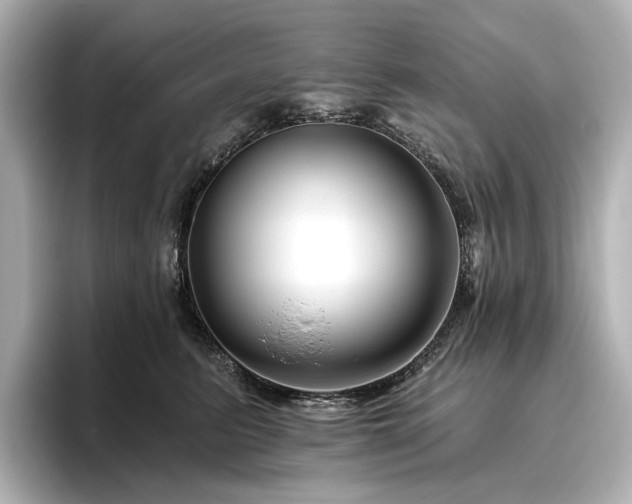 X0000096450615200801241420