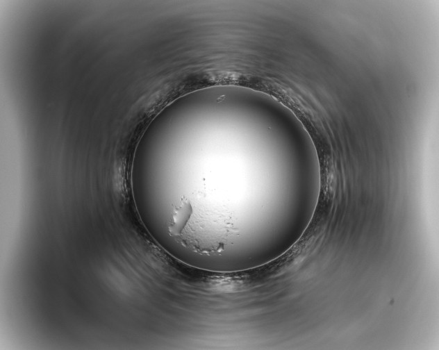 X0000096450616200801241420