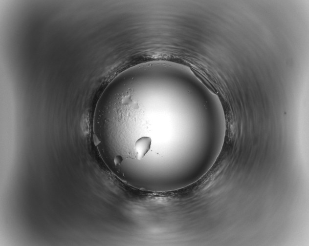 X0000096450620200801241420