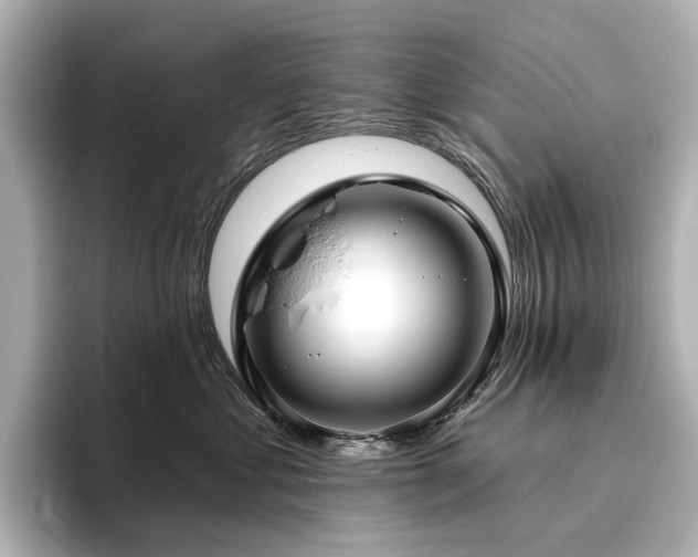 X0000096450621200801241420