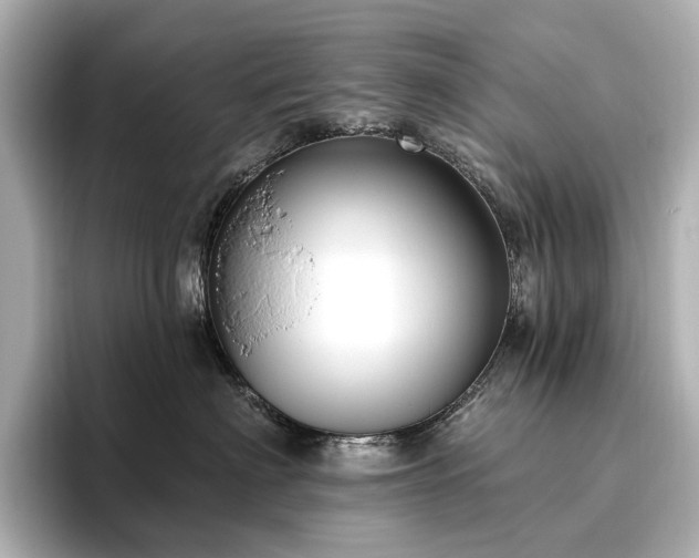 X0000096450622200801241420