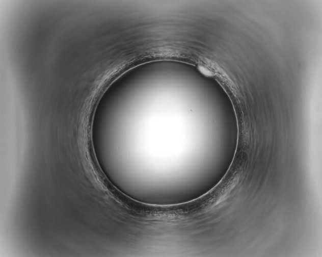 X0000096450625200801241419