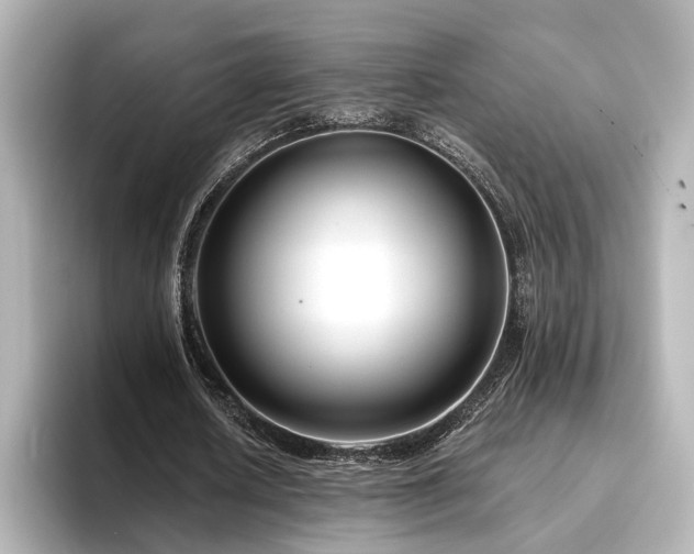 X0000096450626200801241419