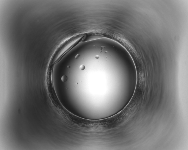 X0000096450628200801241419