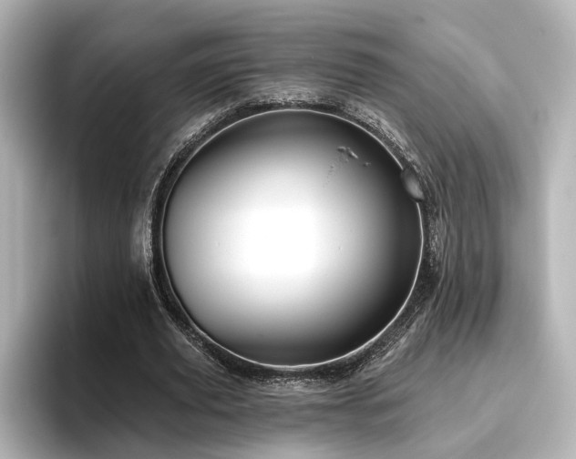 X0000096450629200801241419