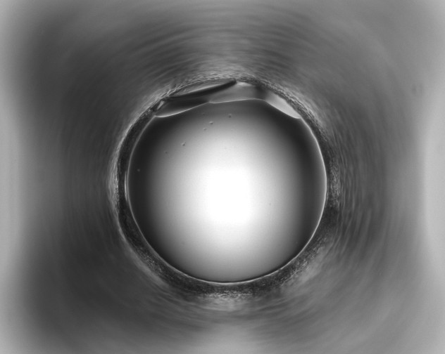 X0000096450630200801241419