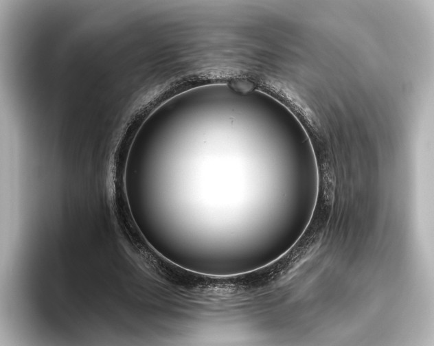 X0000096450631200801241419