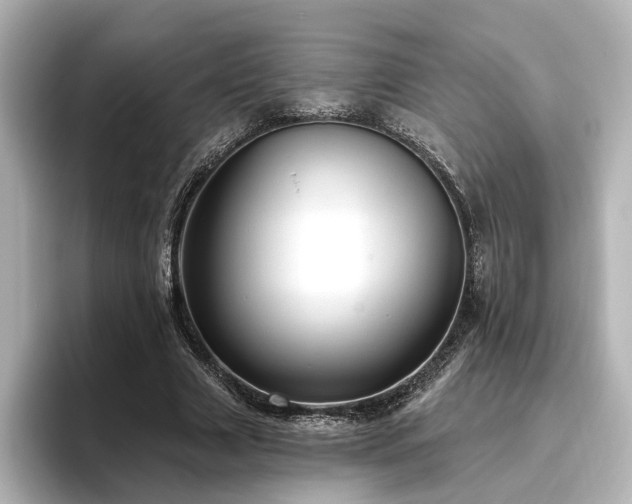 X0000096450633200801241419