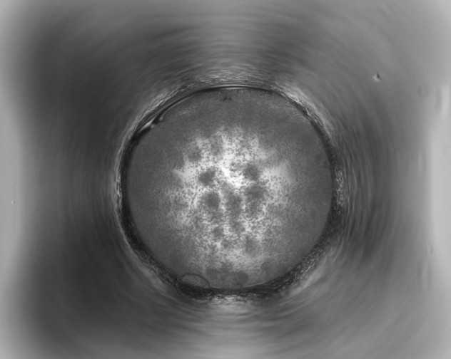 X0000096450634200801241419