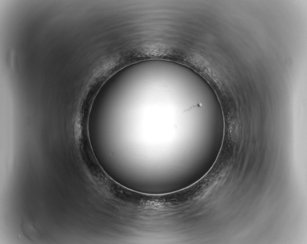 X0000096450635200801241419