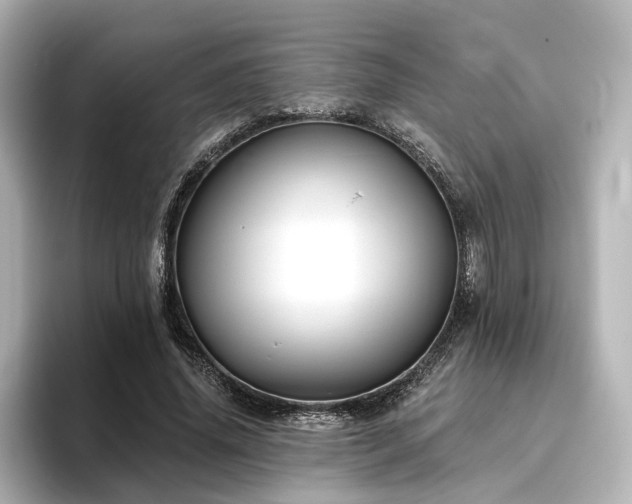 X0000096450636200801241419