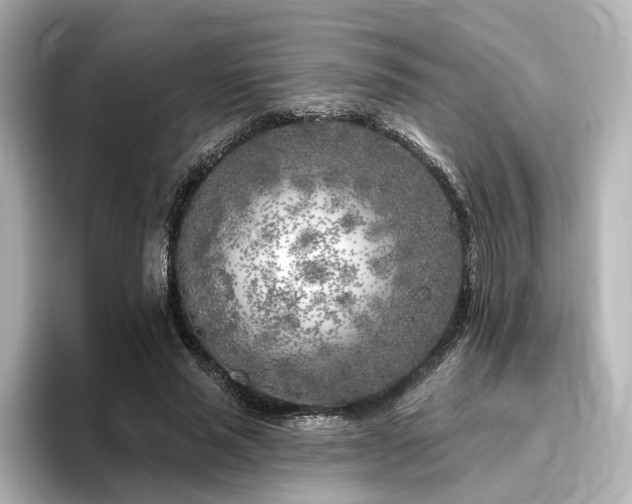 X0000096450637200801241419