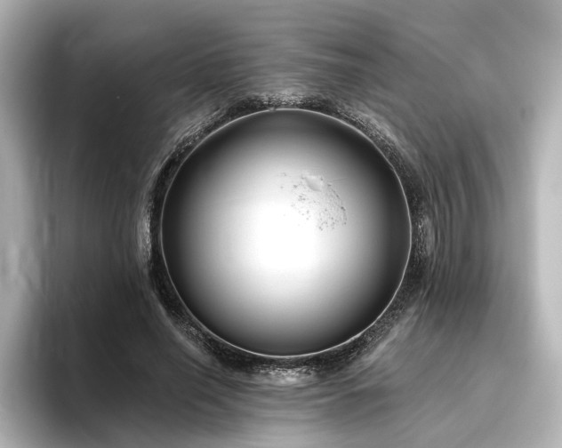 X0000096450638200801241419