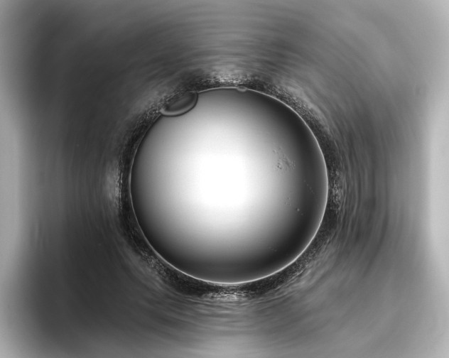 X0000096450639200801241419