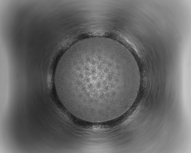 X0000096450641200801241419