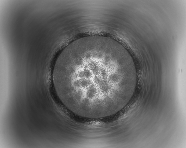 X0000096450642200801241419