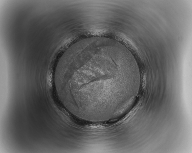 X0000096450644200801241419