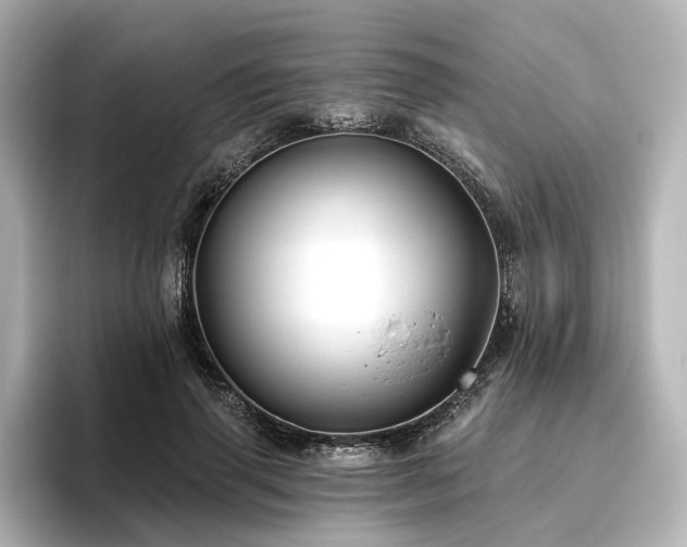 X0000096450645200801241419