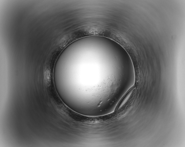 X0000096450646200801241419