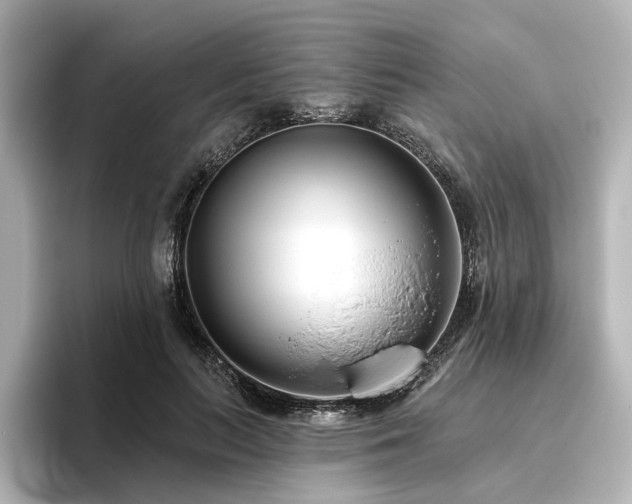X0000096450647200801241419