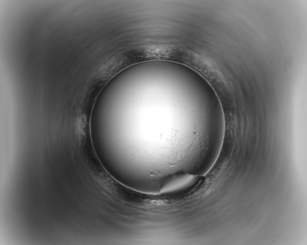 X0000096450649200801241419