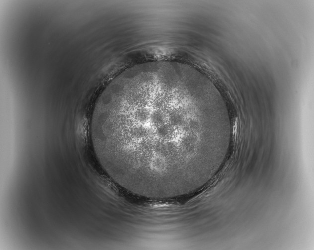 X0000096450650200801241419