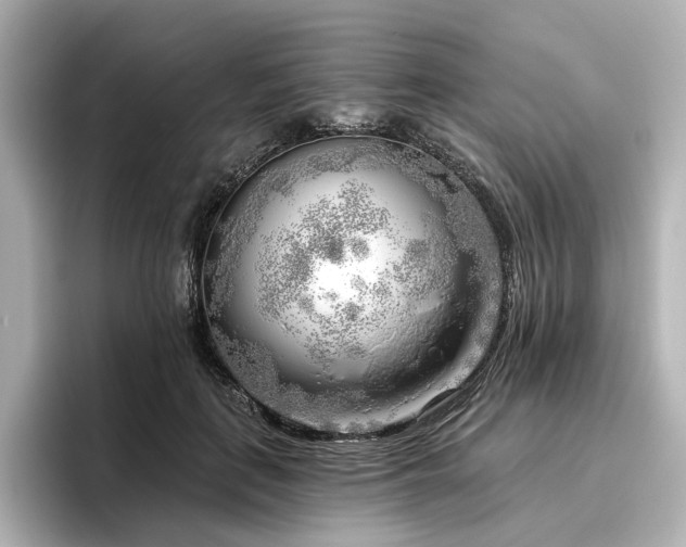 X0000096450651200801241419