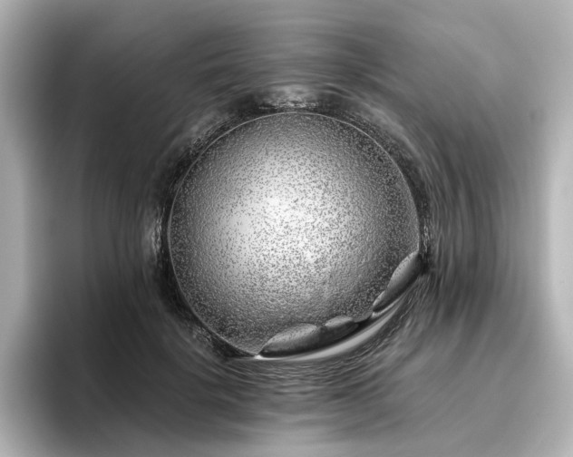 X0000096450652200801241419