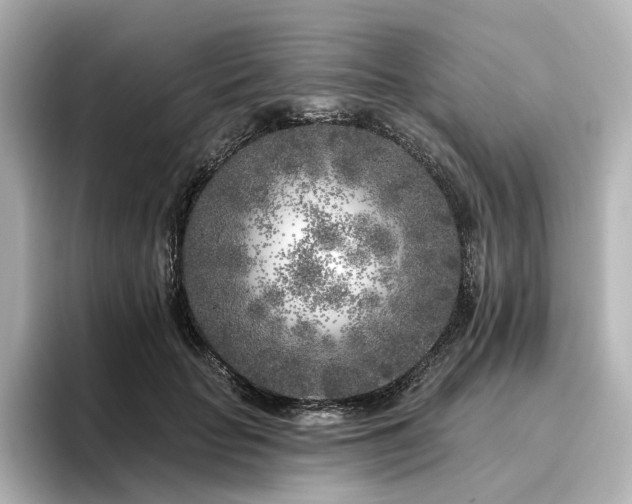 X0000096450653200801241419