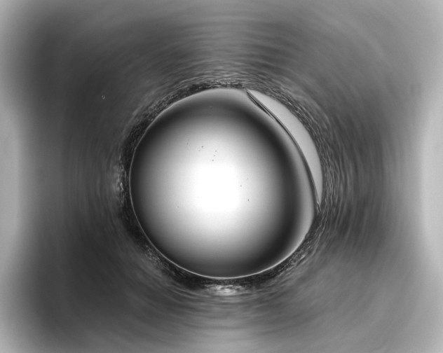 X0000096450654200801241419